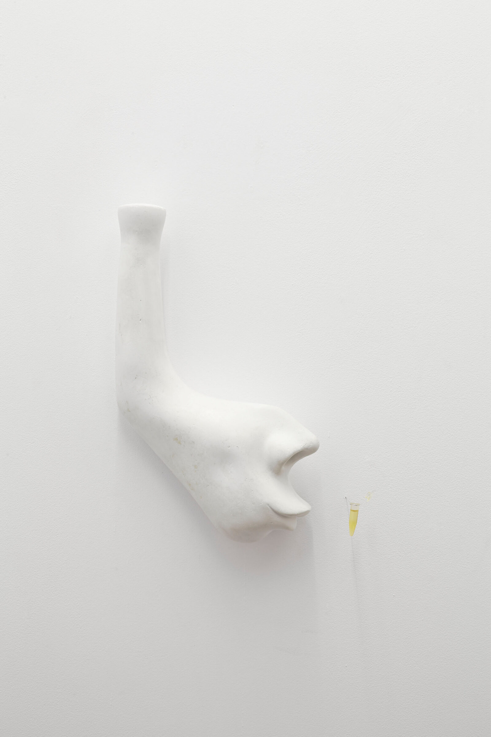 Sebastian Buczek
Nose
2014
plaster, fragrance composition