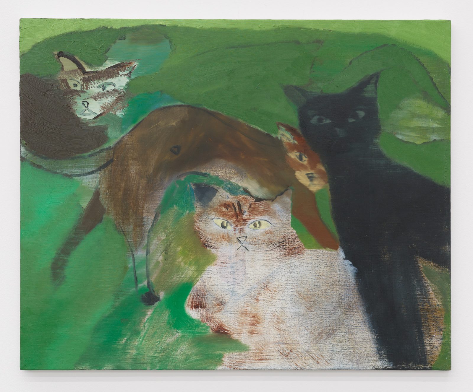 Yu Nishimura
cat hill
2021
oil on canvas
53 × 65 cm