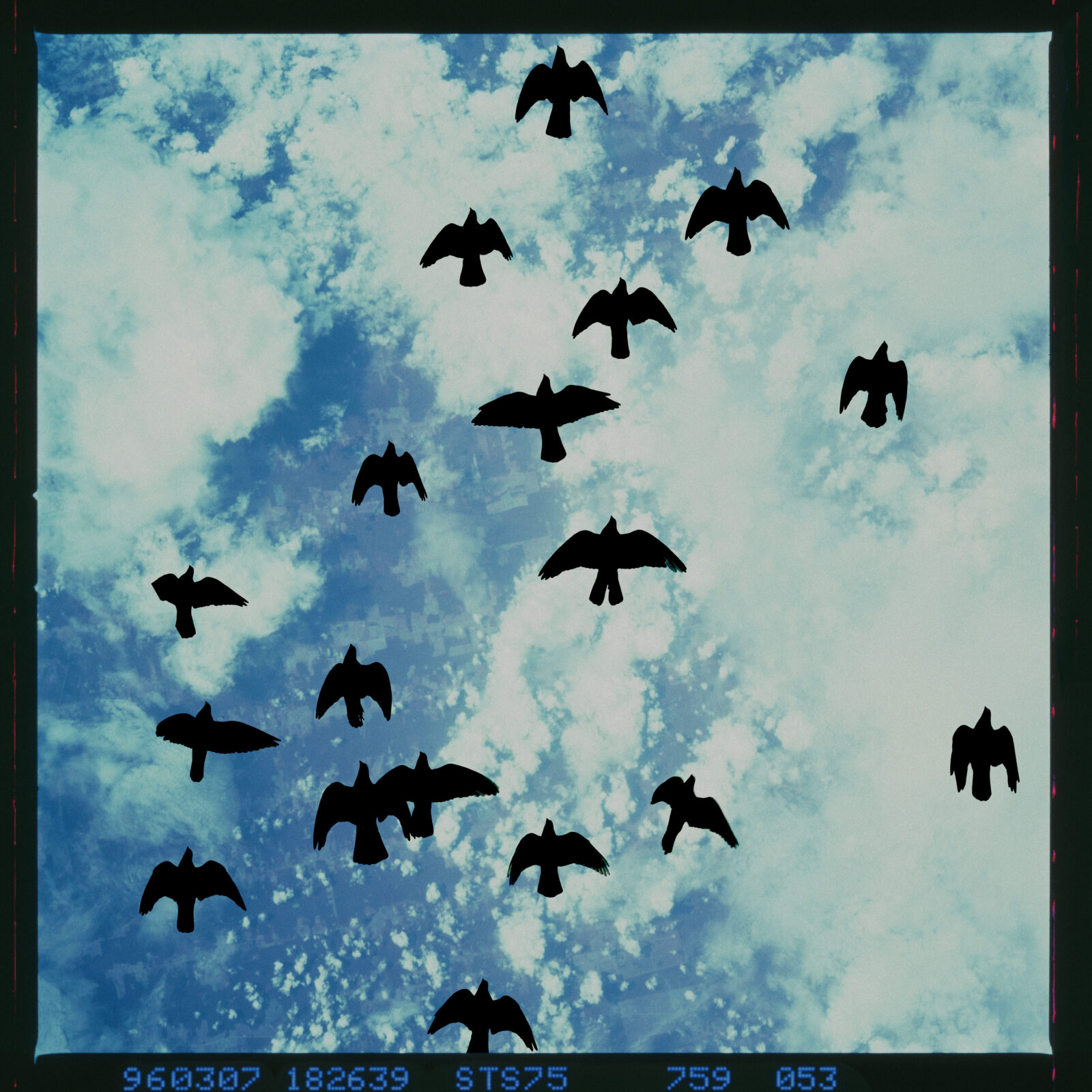 Agnieszka Polska
Birds Fly into Space 3, 2024
ink print on archival paper
115 × 115 cm
Ed. 5 plus I AP